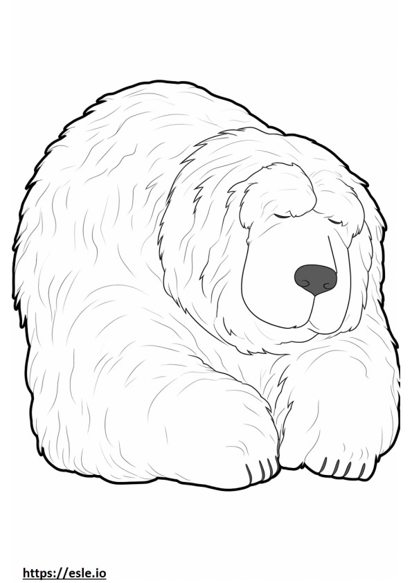 Black Russian Terrier Sleeping coloring page