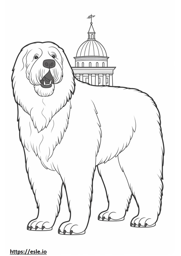 Black Russian Terrier Friendly coloring page