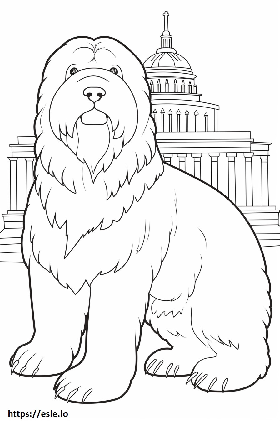 Black Russian Terrier Playing coloring page