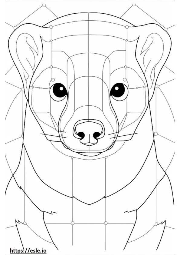 Black-Footed Ferret face coloring page