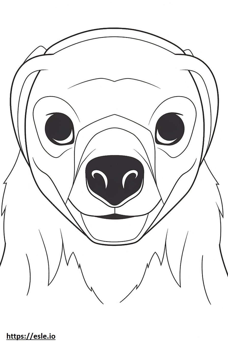 Black-Footed Ferret face coloring page