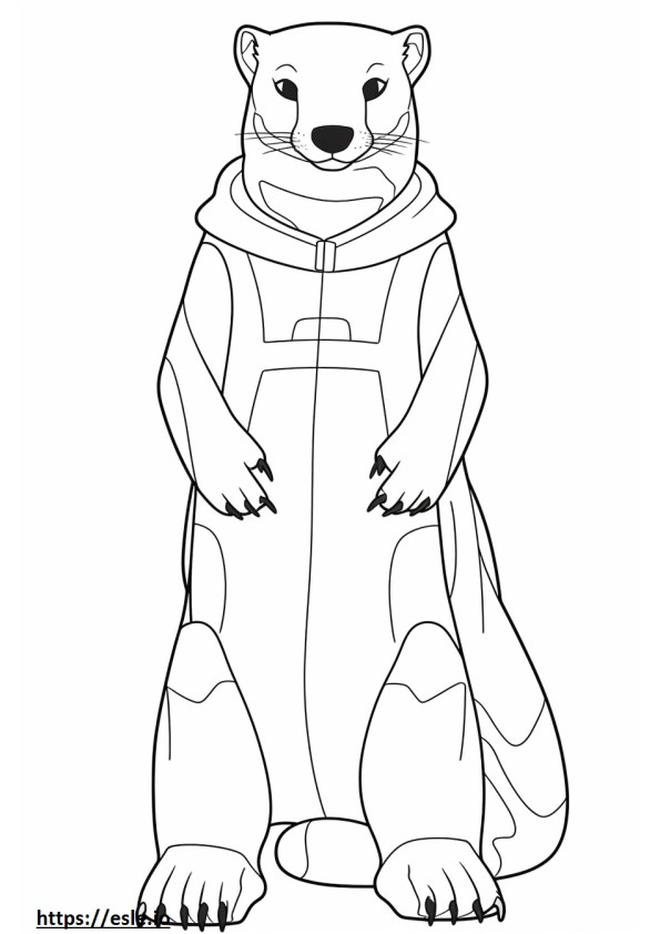 Black-Footed Ferret full body coloring page