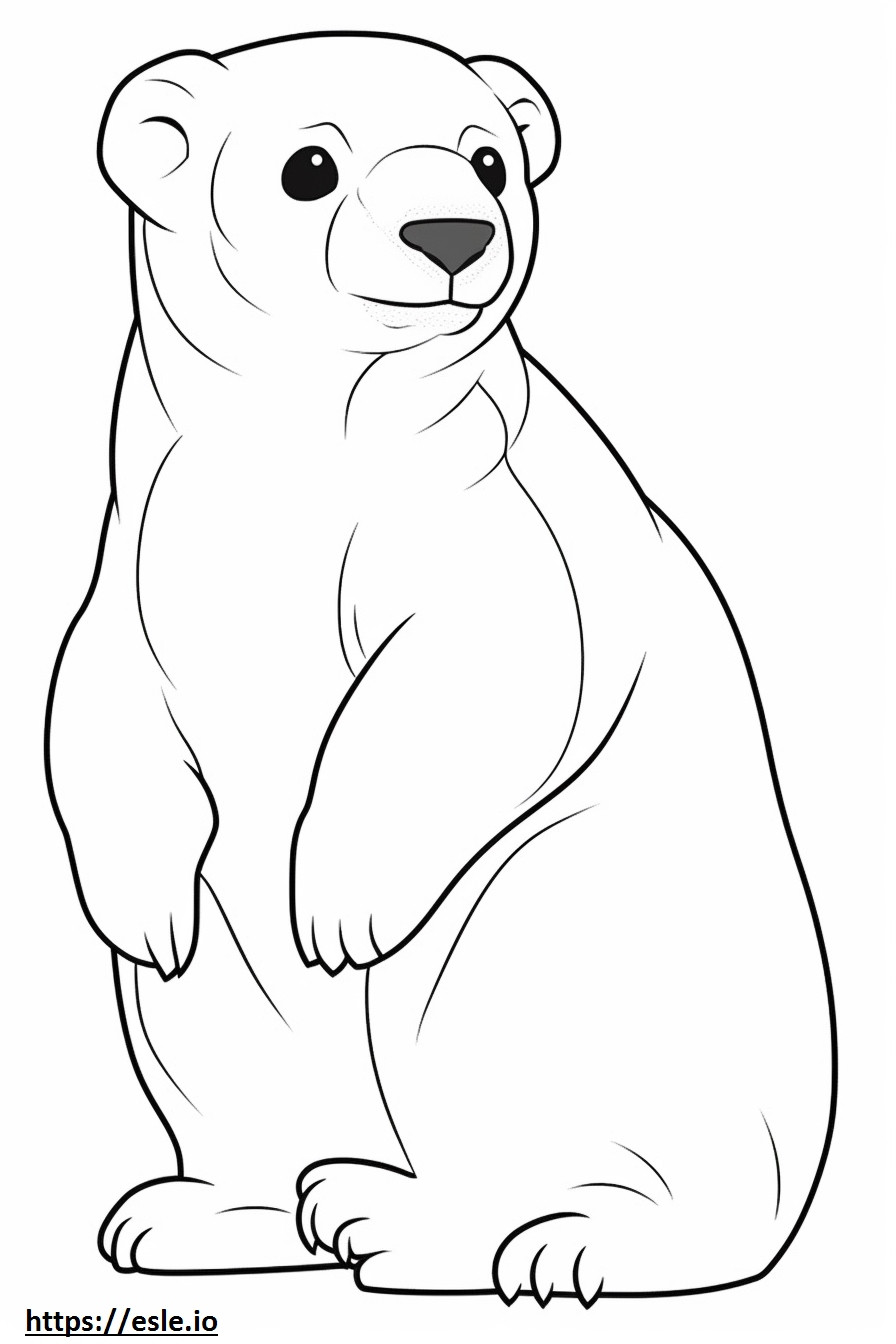Black-Footed Ferret baby coloring page