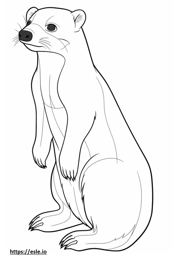 Black-Footed Ferret cartoon coloring page