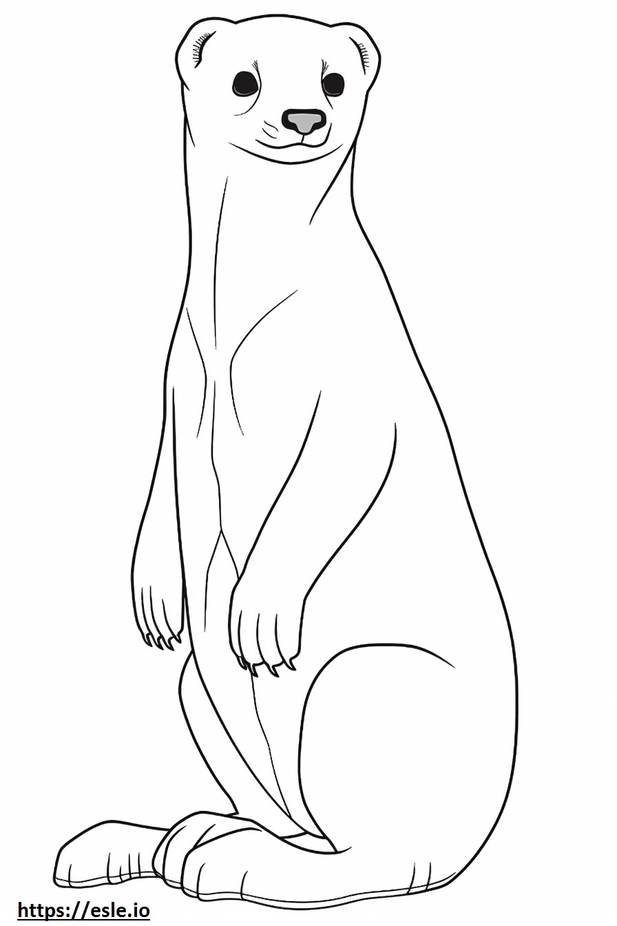Black-Footed Ferret cute coloring page