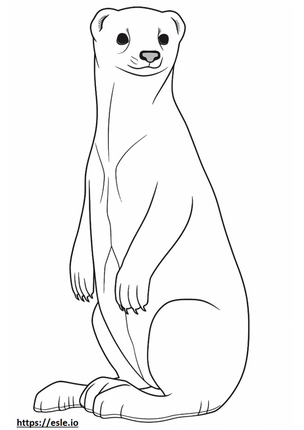 Black-Footed Ferret cute coloring page