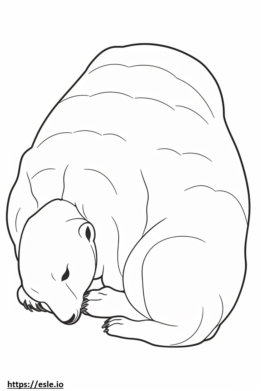 Black-Footed Ferret Sleeping coloring page