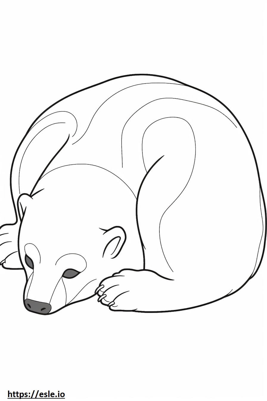 Black-Footed Ferret Sleeping coloring page