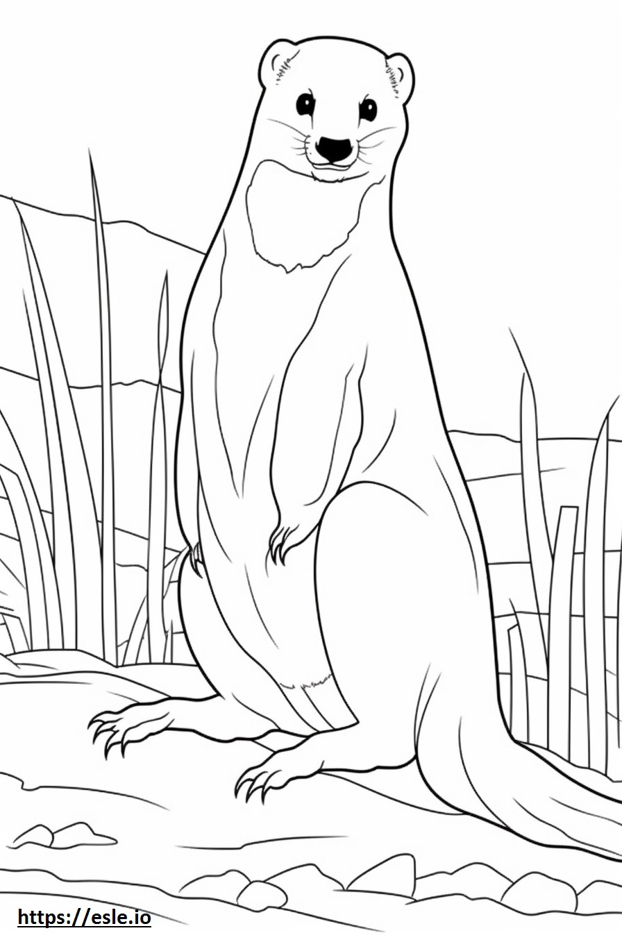 Black-Footed Ferret Playing coloring page