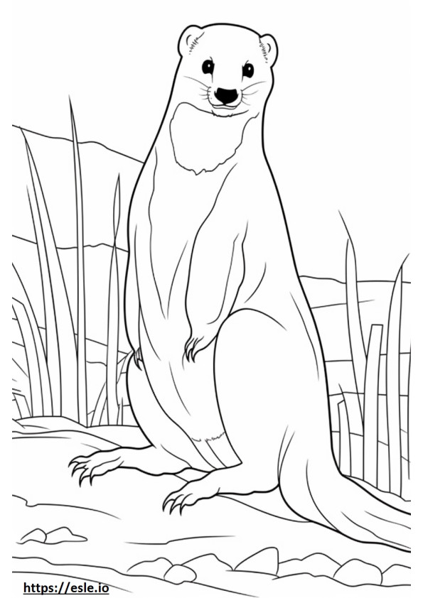 Black-Footed Ferret Playing coloring page