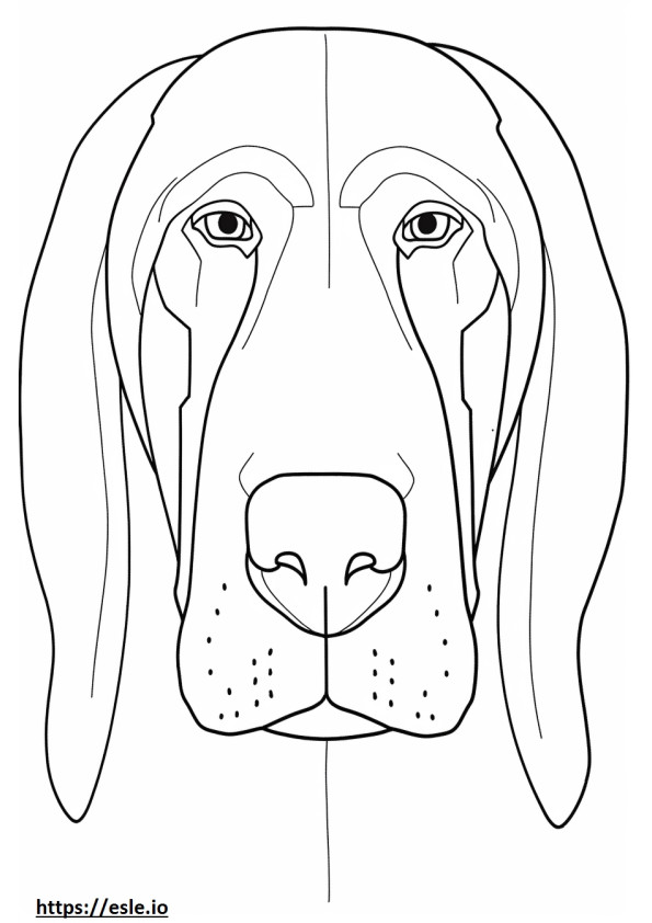 Bloodhound-Gesicht ausmalbild