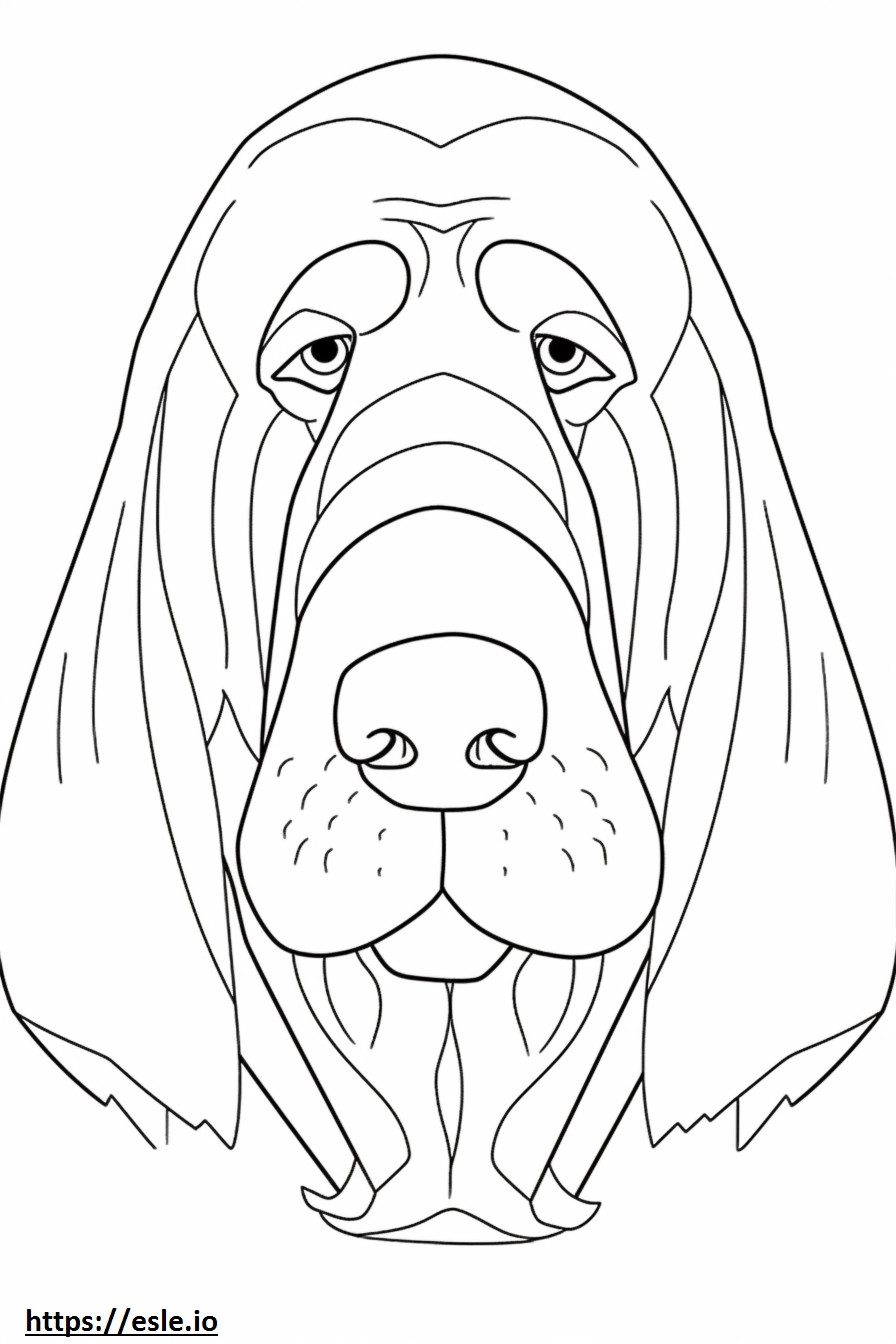 Fața de Bloodhound de colorat