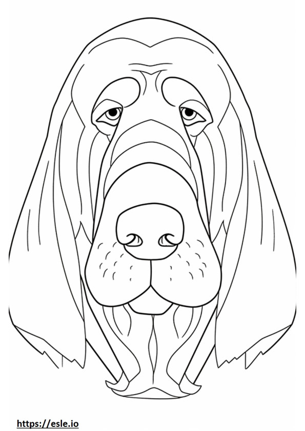 Bloodhound face coloring page
