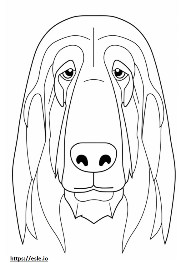 Fața de Bloodhound de colorat