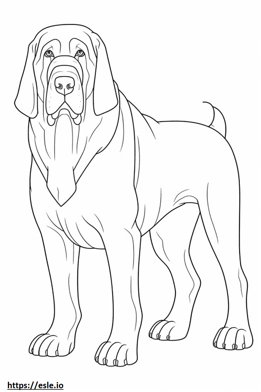 Bloodhound tam vücut boyama