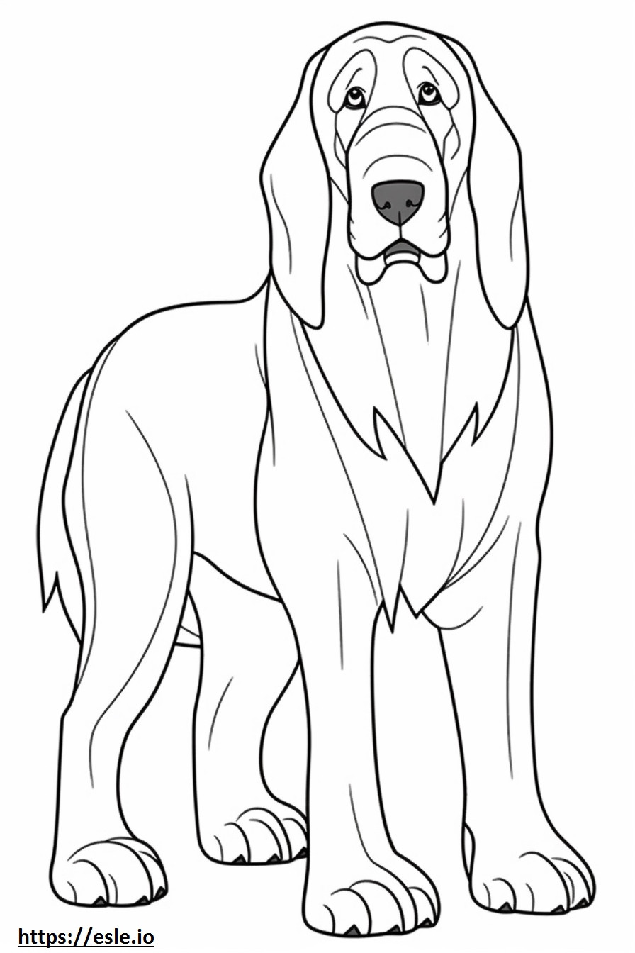 Bloodhound de corpo inteiro para colorir