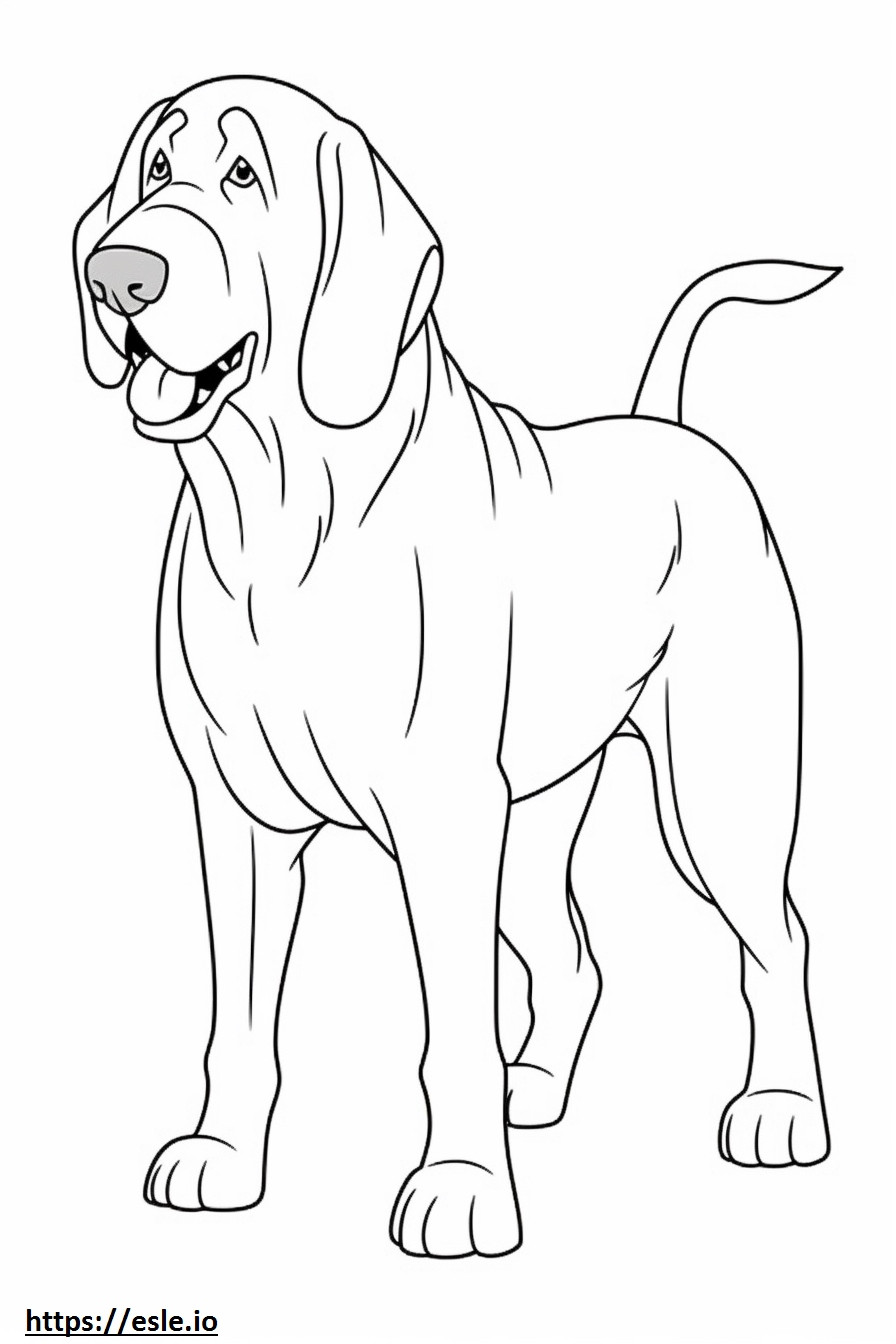 Bloodhound cute coloring page