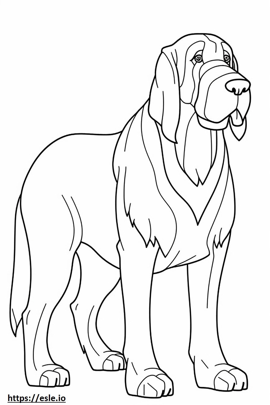 Bloodhound drăguț de colorat