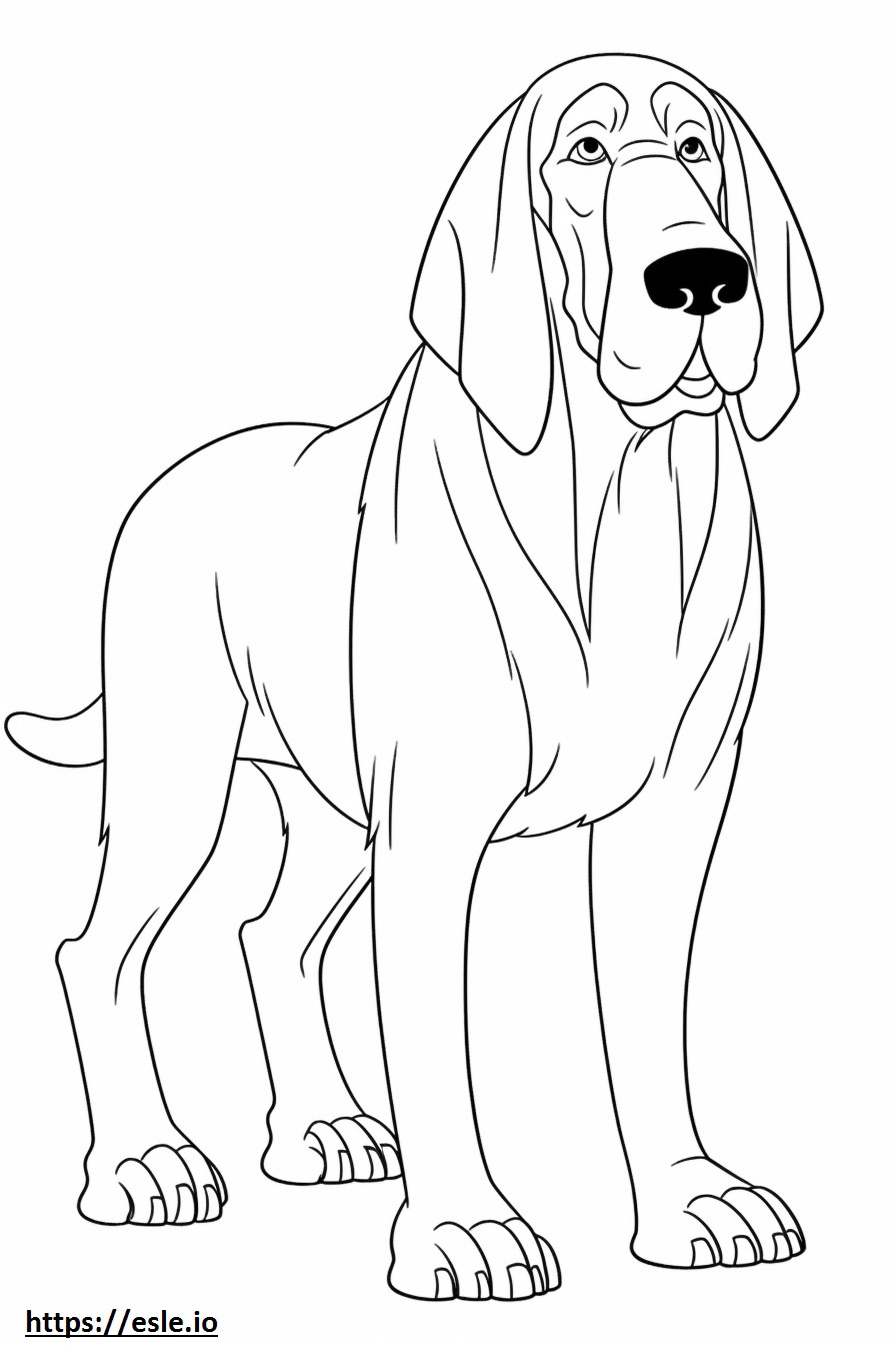 Bloodhound uroczy kolorowanka