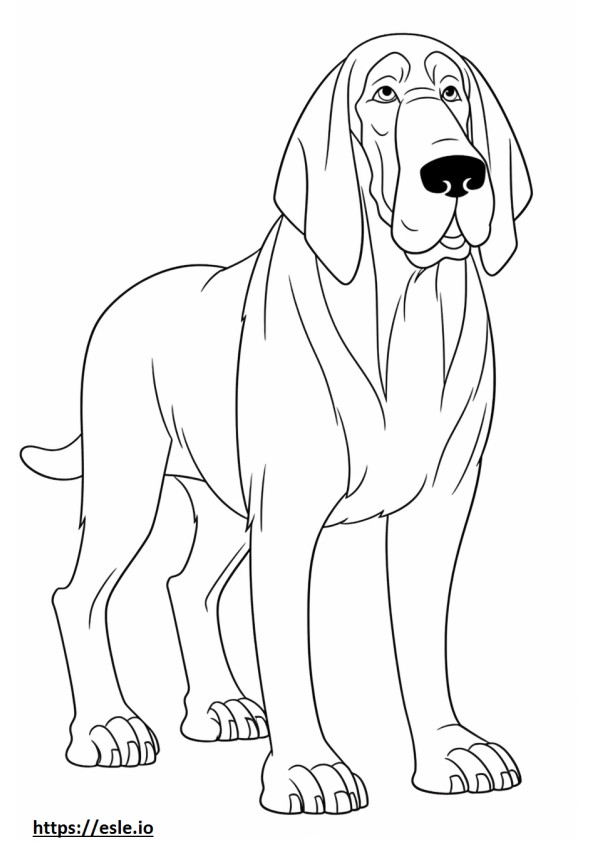 Bloodhound cute coloring page