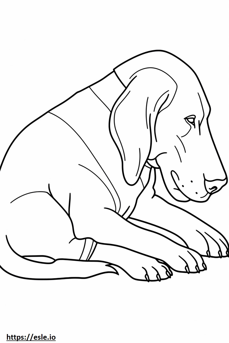 Bloodhound Sleeping coloring page