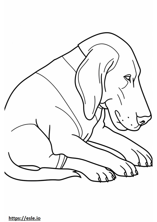 Bloodhound śpi kolorowanka