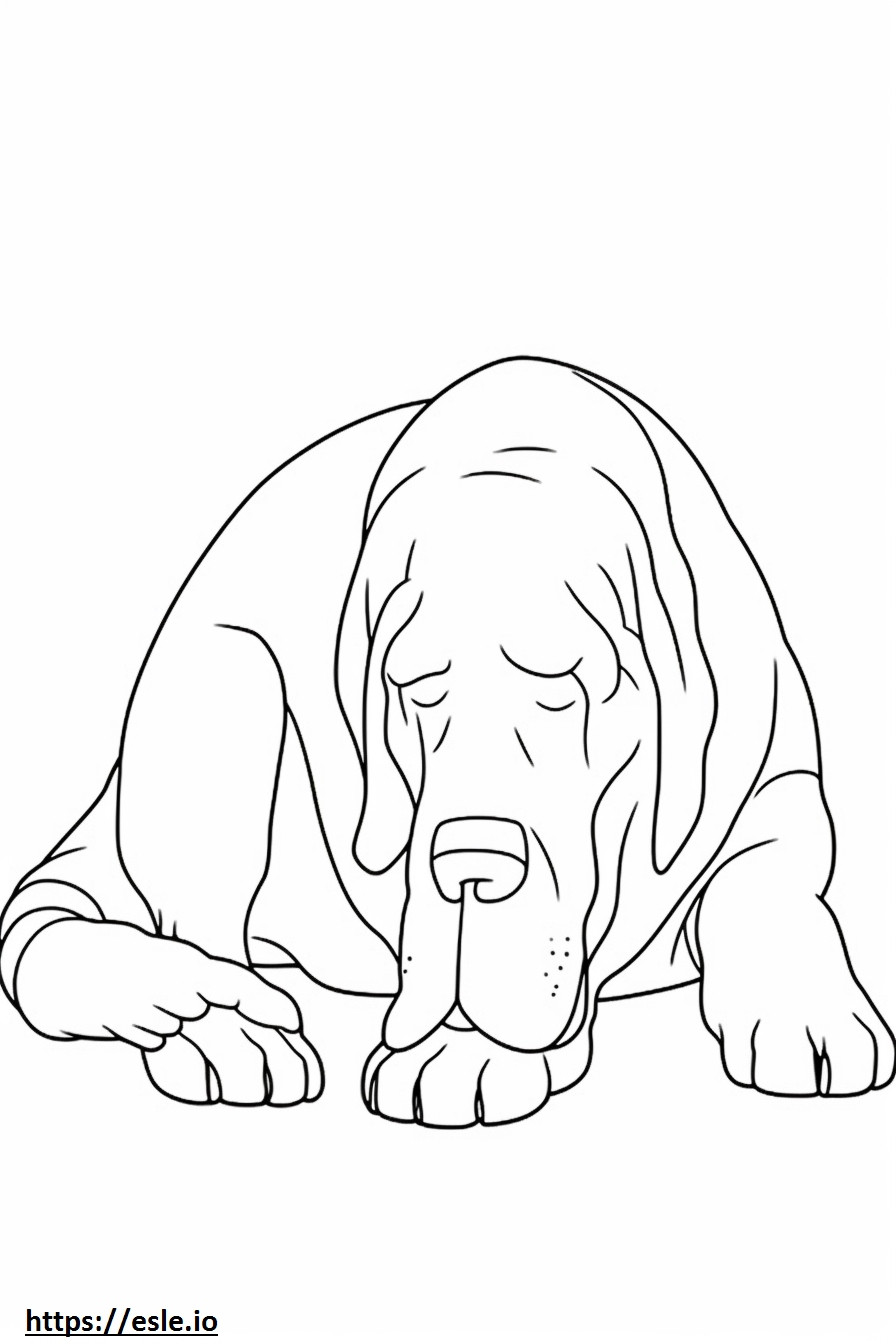 Bloodhound Dormit de colorat