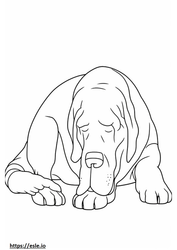 Bloodhound Dormit de colorat
