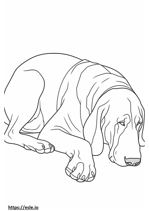 Bloodhound śpi kolorowanka