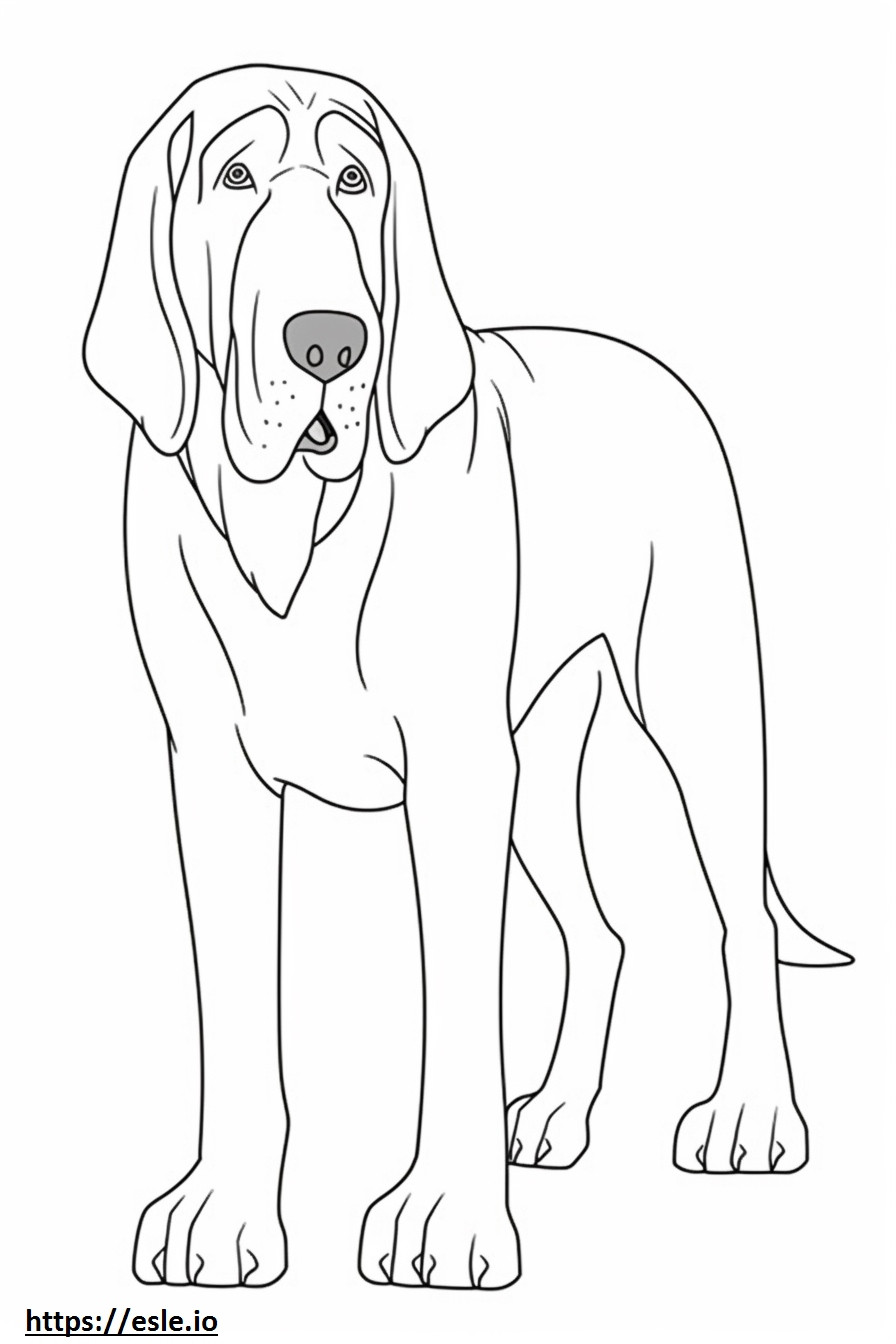 Bloodhound Playing coloring page