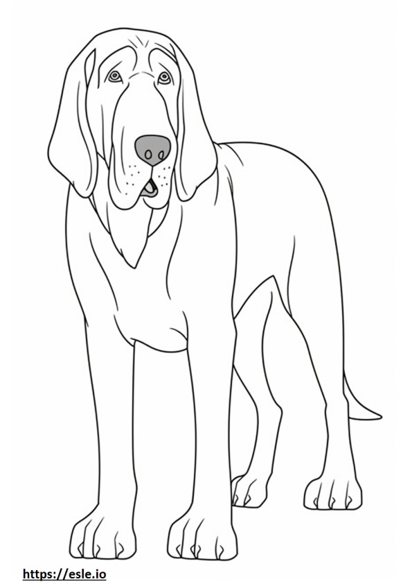 Bloodhound Playing coloring page
