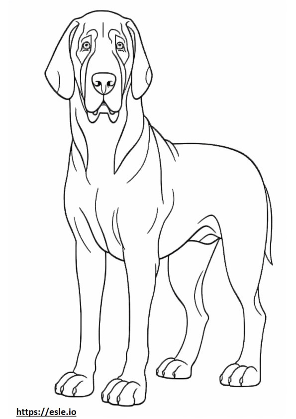 Bloodhound Jucând de colorat