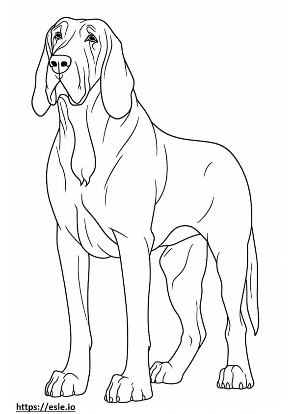 Prietenos cu Bloodhound de colorat