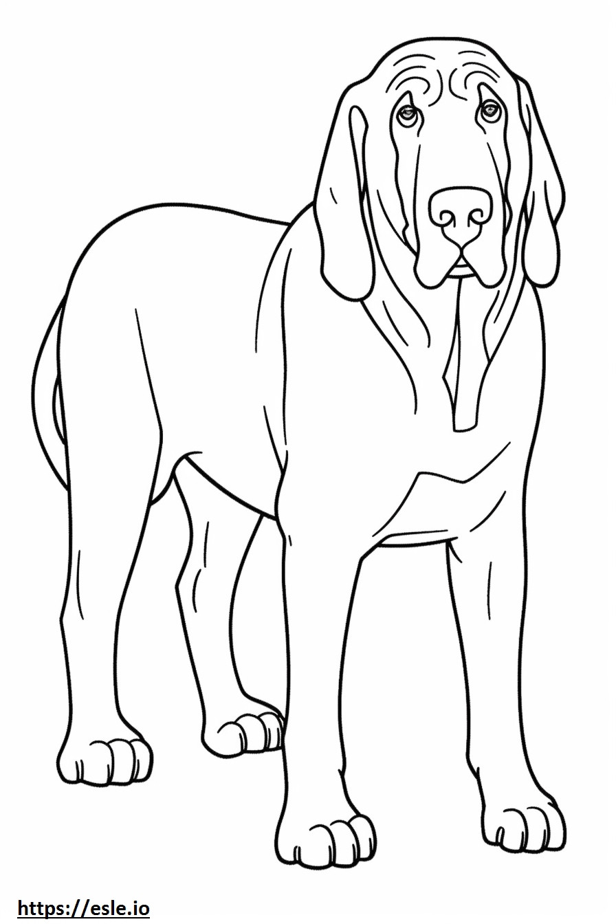 Bloodhound Friendly coloring page