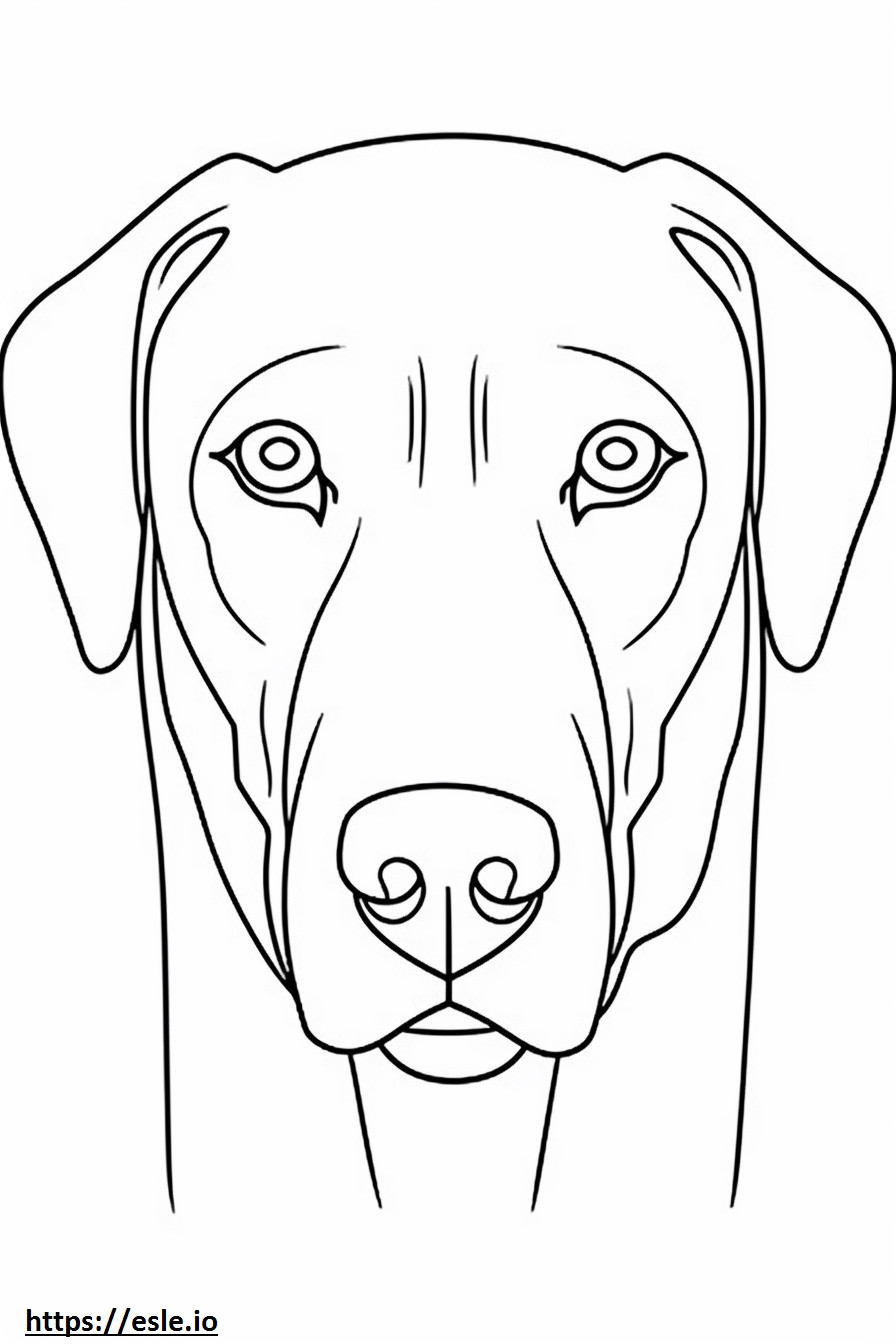Blue Lacy Dog -naama värityskuva