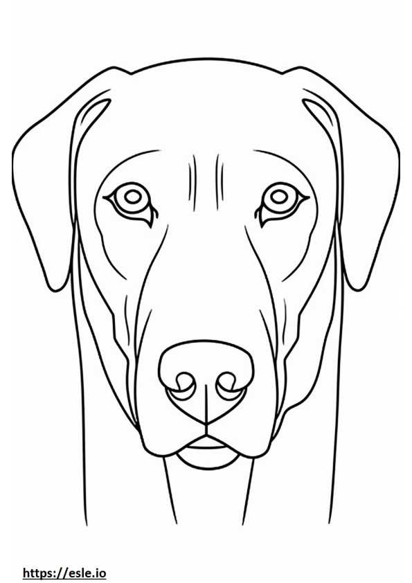 Blaues Spitzen-Hundegesicht ausmalbild