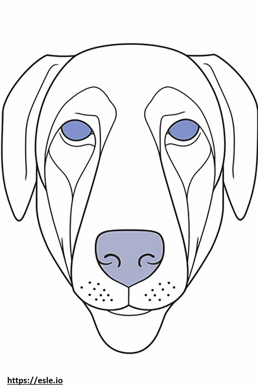 Coloriage Visage de chien en dentelle bleue à imprimer