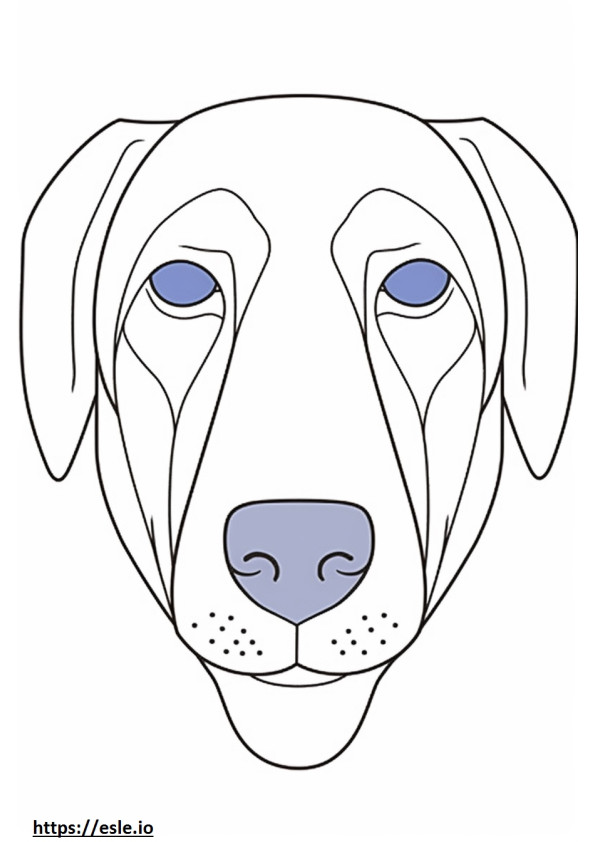 Coloriage Visage de chien en dentelle bleue à imprimer