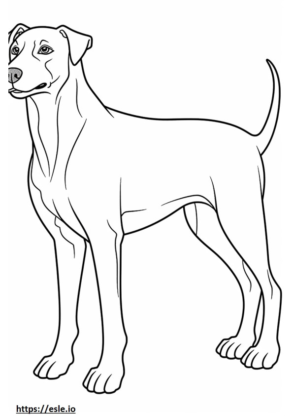 Blue Lacy Dog full body coloring page