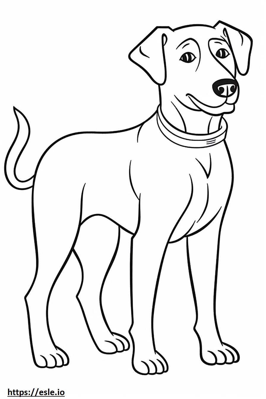 Desenho de cachorro rendado azul para colorir
