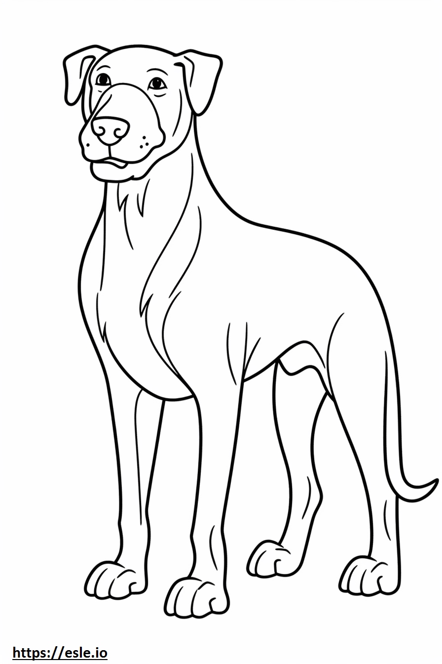 Blue Lacy Dog cartoon coloring page