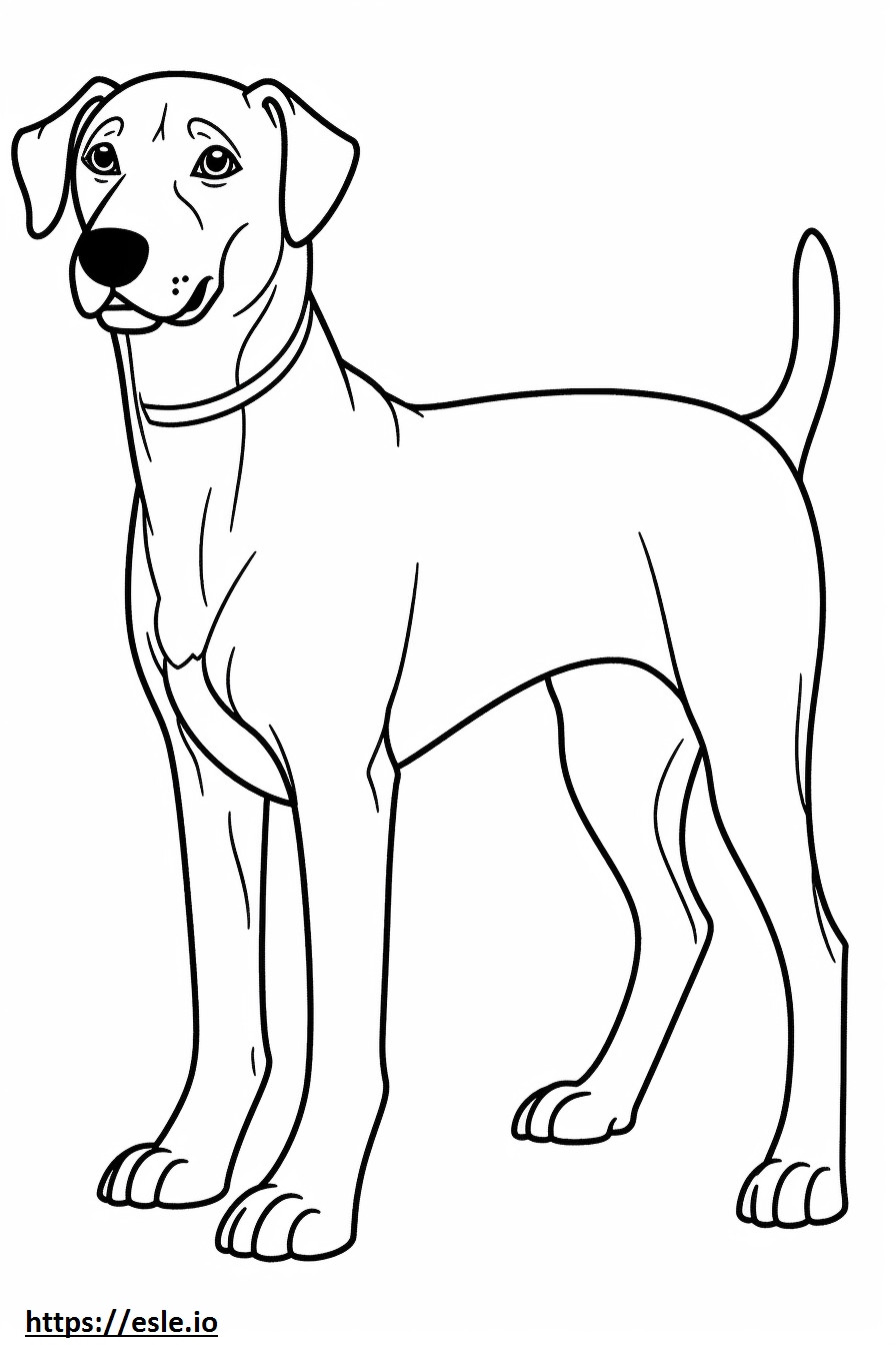 Desenho de cachorro rendado azul para colorir