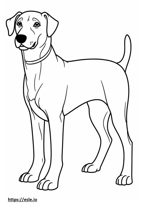 Coloriage Caricature de chien de dentelle bleue à imprimer