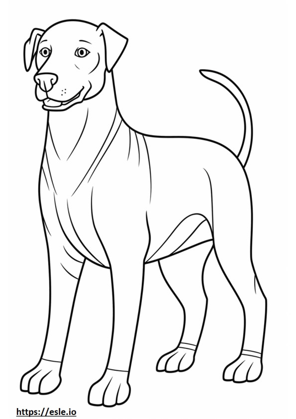 Blue Lacy Dog cute coloring page