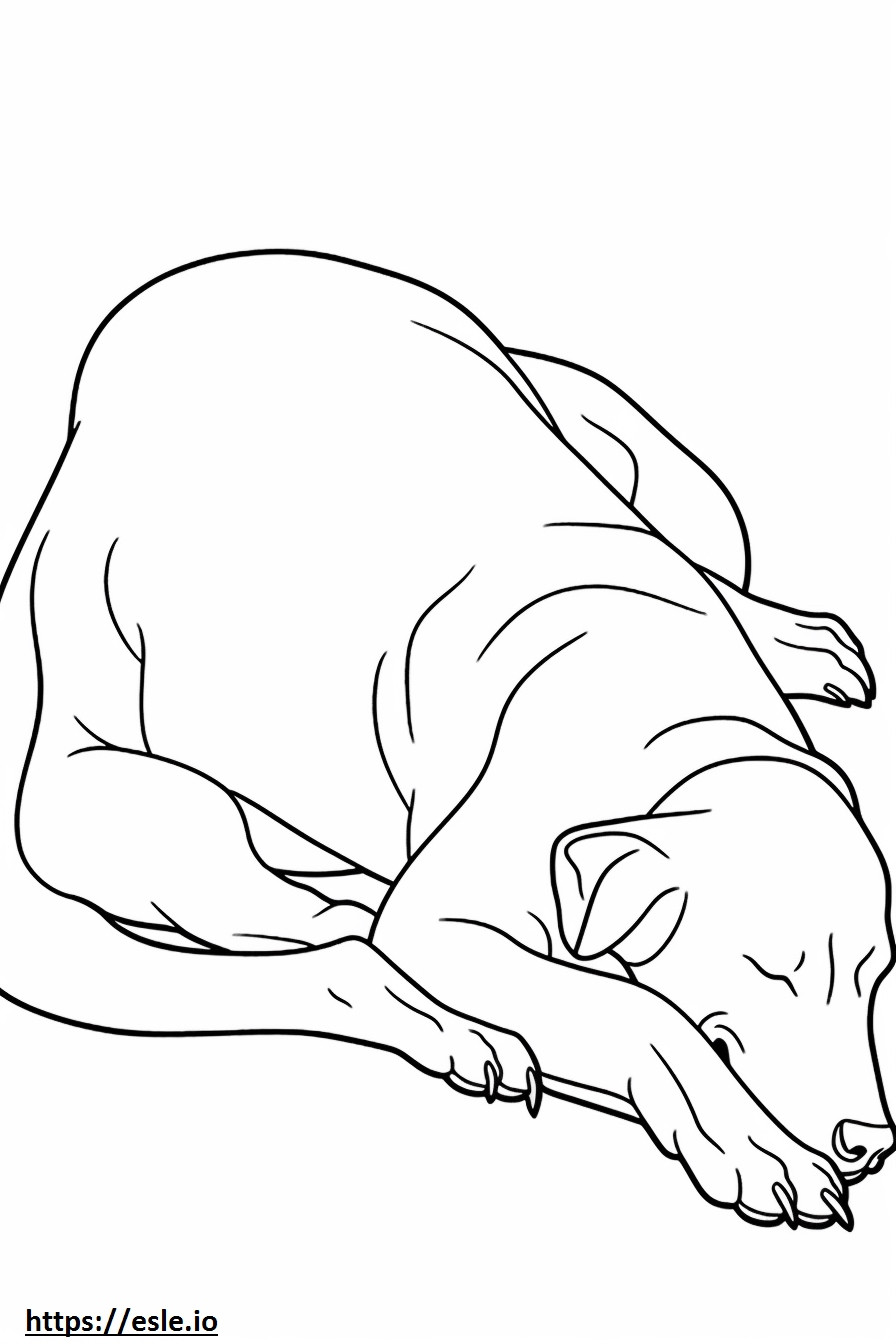 Perro de encaje azul durmiendo para colorear e imprimir