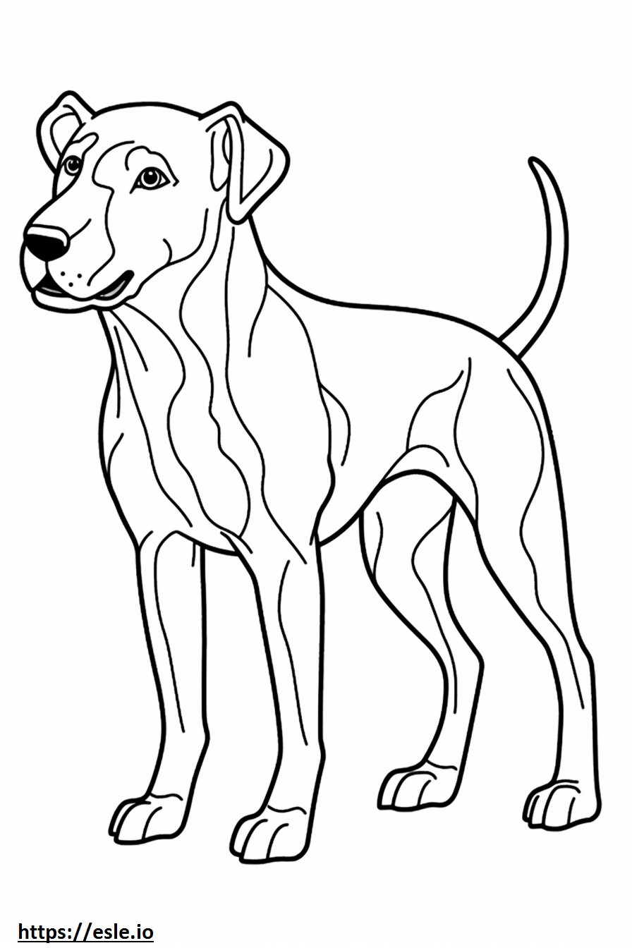 Blue Lacy Dog Playing coloring page