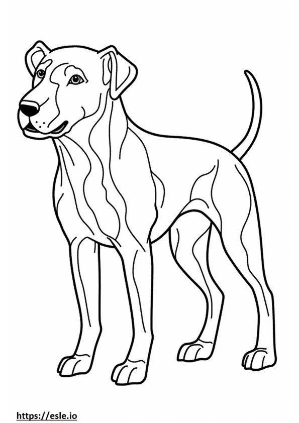 Blue Lacy Dog Playing coloring page