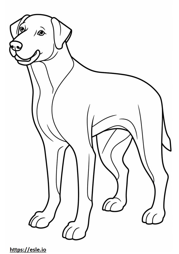 Bawiący się niebieski koronkowy pies kolorowanka