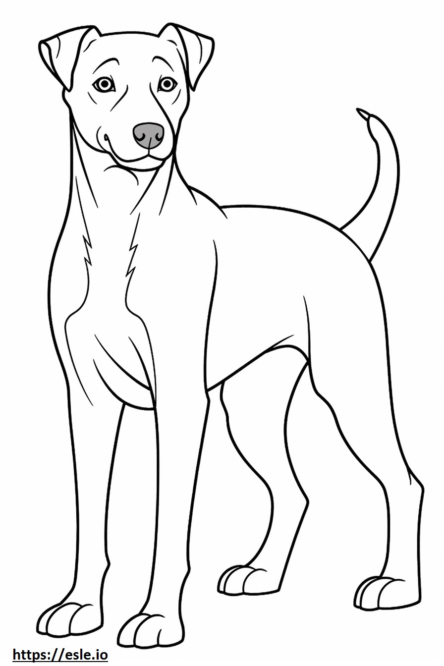 Blue Lacy Dog Friendly coloring page