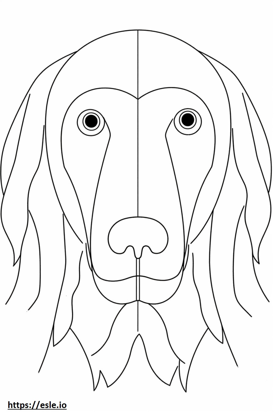 Cara de perro de aguas de Picardía azul para colorear e imprimir